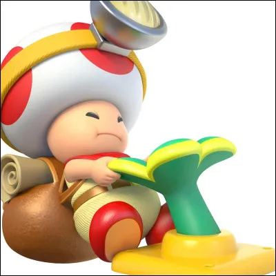 Qui est Toad ?