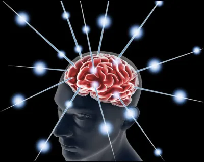 Le dernier modèle abordé dans ce quiz est le modèle cognitif. Quelles sont d'après vous ses caractéristiques ?