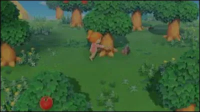 Combien y a-t-il de fruits dans le jeu ?