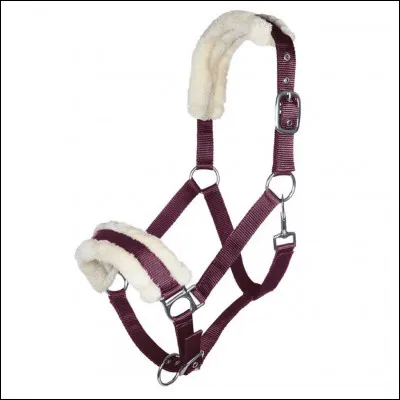 Quel est cet équipement ? Quelle sont les parties avec de la moumoute ?