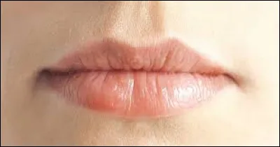 Être muet comme une _.