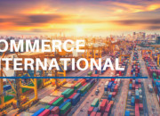 Quiz BAC SES : Les fondements du commerce international