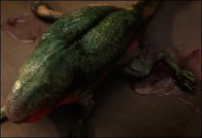 Qui est d'Artagnan ?