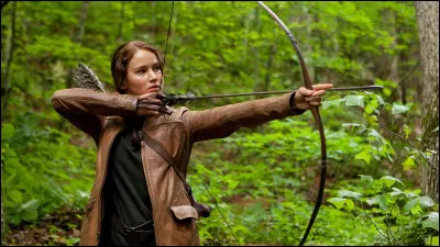 Que veut dire Hunger Games ?