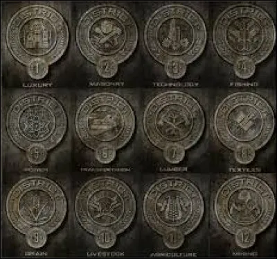 Quelle est la spécialité du District 7 le district de Johanna ?