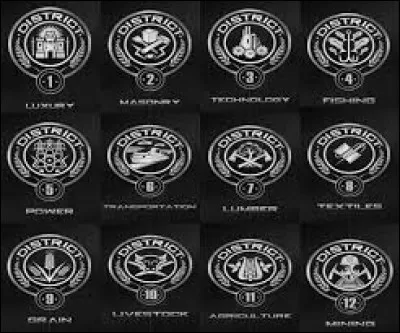 Comment s’appelle le garçon du District 1 ?