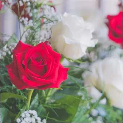 Tu t'es fait un faux profil pour un date mais la personne t'a reconnu. Quelle est ta réaction ?