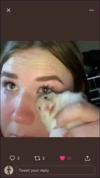 En regardant quel film ou quelle série as-tu pleuré ?