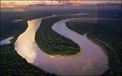 Parmi ces trois animaux lequel ne vit pas en Amazonie ?