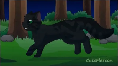 Nuage de Plume devient guerrier/guerrière.
Quel sera son nom ?