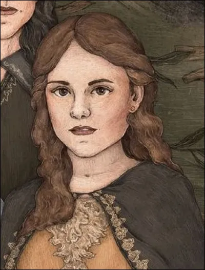 À quelle maison de Poudlard appartient le personnage d'Andromeda Black dans la saga "Harry Potter" ?