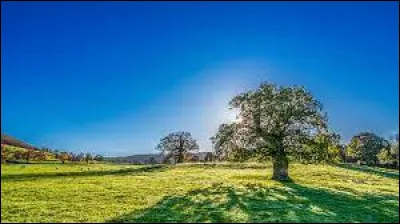 Un dicton dit que ce mois-ci, le temps qu'il fera le 3 sera le temps de tout le mois !