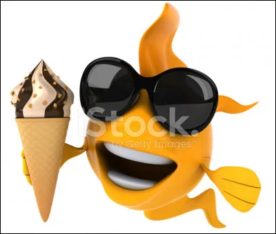 Comment traduit-on "poisson" en allemand ?