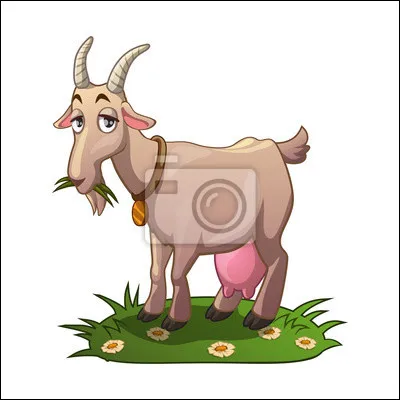 Quelle est la traduction de "chèvre" en allemand ?