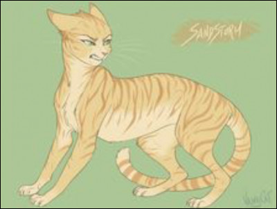 Je naime pas ce sale chat domestique moi je suis une vraie apprentie ! Je suis :