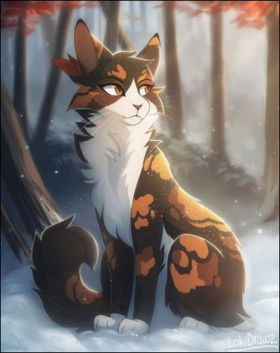 Je suis une guérisseuse du Clan du Tonnerre et jai été tuée par Museau Balafré dans mon propre camp. Je suis :