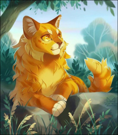 Jai été nommé lieutenant à la mort de Plume Rousse et mon dernier apprenti a été Nuage Gris. Je suis mort dans la bataille contre le Clan de lOmbre alors quÉtoile Bleue était absente. Je suis :