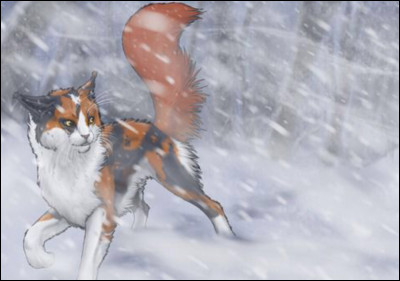 Javais pendant longtemps assisté Étoile Bleue, mais je suis tué par ce traître de Griffe de Tigre. Je suis :