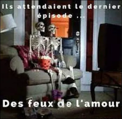 Série télévisée : 
Comportant 12 446 épisodes au 10 septembre 2022, ''Les Feux de l'amour'' est le second feuilleton le plus long, et l'un des plus anciens encore en production, de l'histoire télévisuelle.
En quelle année a été créée cette série ?