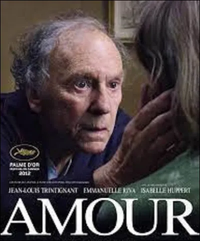 Cinéma : 
Sorti au cinéma le 24 octobre 2012, ''Amour'' est un film dramatique franco-australo-allemand, avec pour acteurs principaux Jean-Louis Trintignant, Emmanuelle Riva et Isabelle Huppert. Il a reçu plusieurs récompenses, notamment la Palme d'or au Festival de Cannes en 2012.
Qui est le réalisateur et scénariste de ce long métrage ?