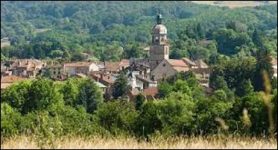 Géographie : 
Dans quel département de la région Bourgogne-Franche-Comté se situe la petite ville de Saint-Amour, peuplée de 2 392 habitants appelés les Saint-Amourains et les Saint-Amouraines ?