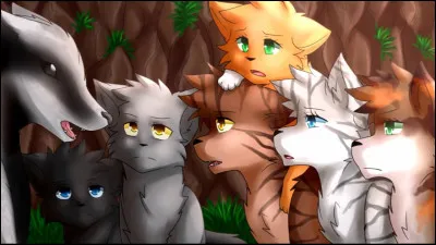 Qui est la 1re compagne de Plume de Jais ?