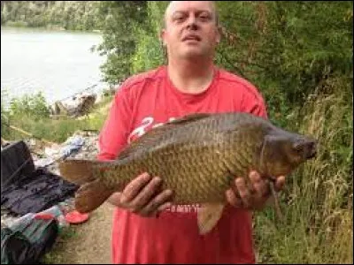 Sachant que le recul de l'épée à larrêt est de 0.9 bloc, quel est celui de la fishing rod ?