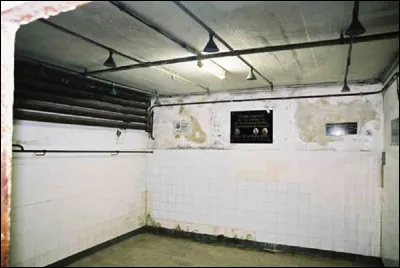 Quel est le nom du gaz, poison mortel, utilisé au cours de la Seconde Guerre mondiale dans les funestes chambres à gaz ?