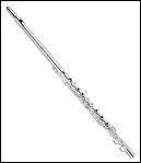 Quel est cet instrument de musique ?