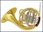 Quel est cet instrument de musique ?