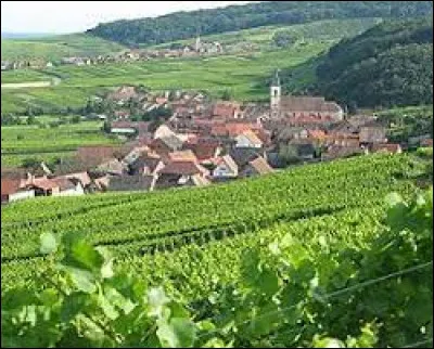 Village viticole sur la route des vins d'Alsace, dans l'arrondissement de Sélestat-Erstein, Nothalten se situe dans le département ...