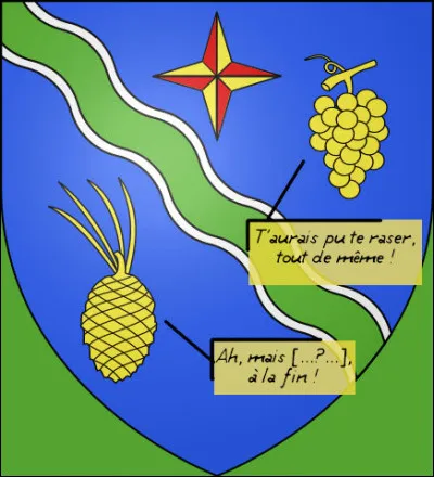 Pour un blason, c'est un minimum... et pour un quiz, encore plus !