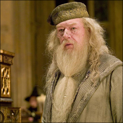 Dans ''Harry Potter et les Reliques de la mort'' 2e partie, qui est devenu le maître de la baguette de sureau après la mort du professeur Dumbledore ?