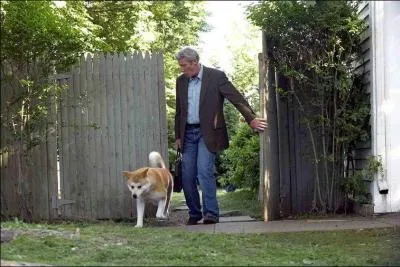 Quel est ce film ralis par Lasse Hallstrm ?