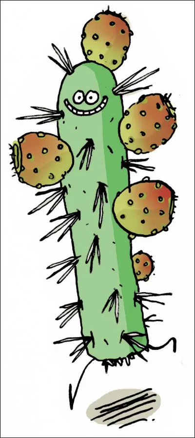 Quelle est la traduction de "figue de barbarie" en anglais ?