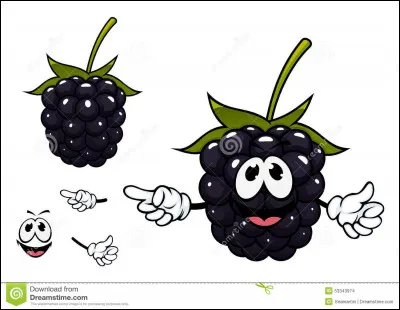 Comment traduit-on "mûre" en anglais ?