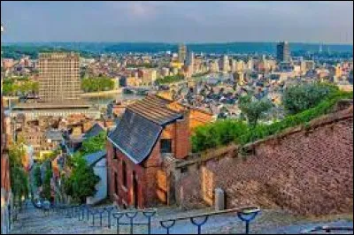 Gastronomie : laquelle de ces spécialités nous vient de Liège ?