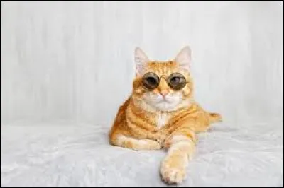 Tu deviens lieutenant, comment réagis-tu ?