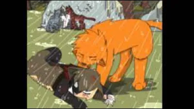 Ton chef meurt et tu as de nouvelles responsabilités :