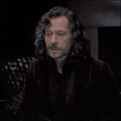 Quel est le MBTI de Sirius Black ?