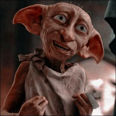 Quel est le MBTI de Dobby ?