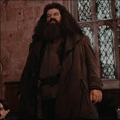 Quel est le MBTI de Rubeus Hagrid ?