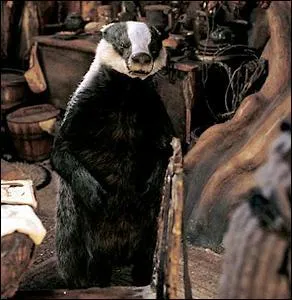 Comment s'appelle ce blaireau ?