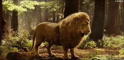 Comment s'appelle ce lion ?