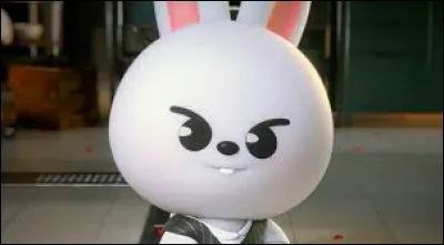 Quel est ton animal favori ?