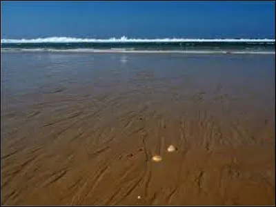 Science : Lequel de ces termes signifie "la p&eacute;riode pendant laquelle la mar&eacute;e est descendante" ?