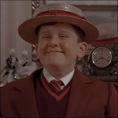 Quel est le MBTI de Dudley Dursley ?