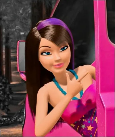 Quel est le MBTI de Skipper ?