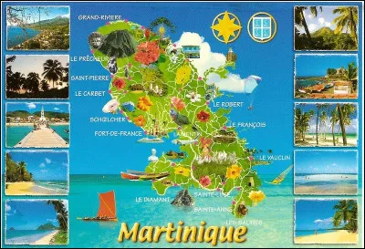 Quelle est la ville la plus peupl&eacute;e de l'&icirc;le de la Martinique avec 76 500 habitants ?