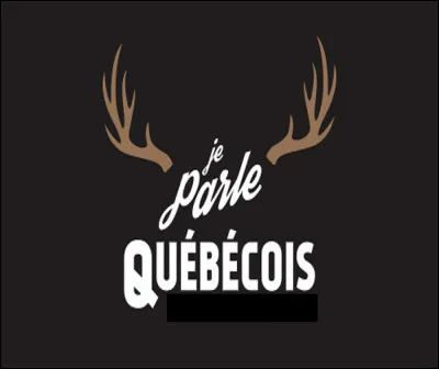 Comment dit-on ''mensonge'' au Québec ?